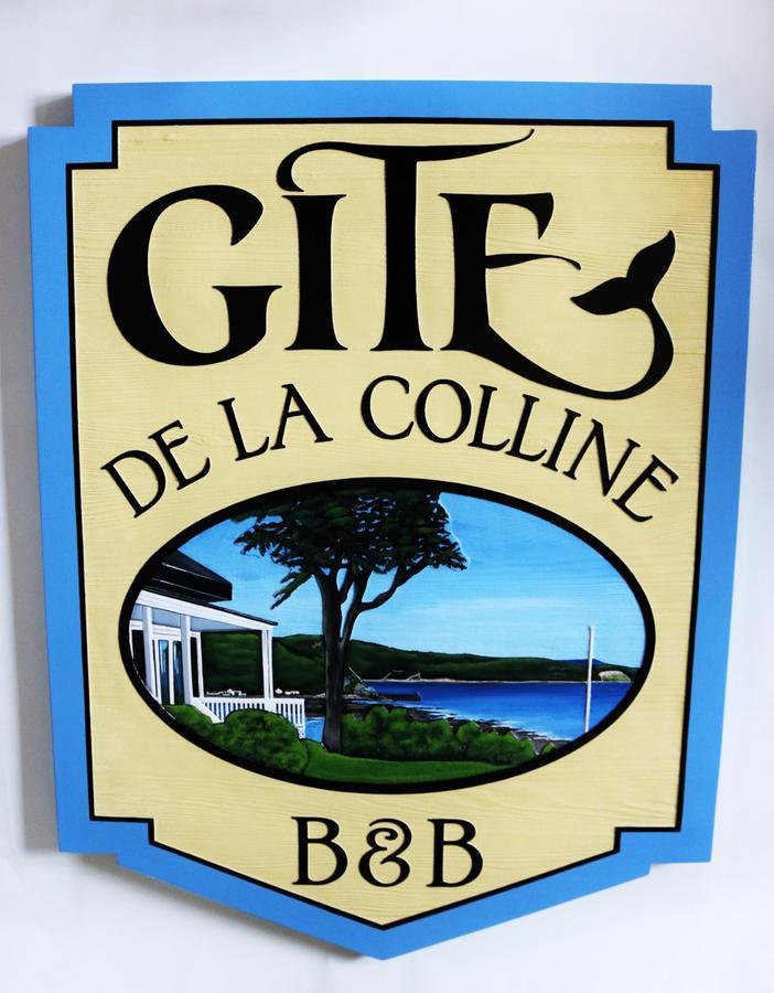 Gite De La Colline Baie-Sainte-Catherine Exterior photo